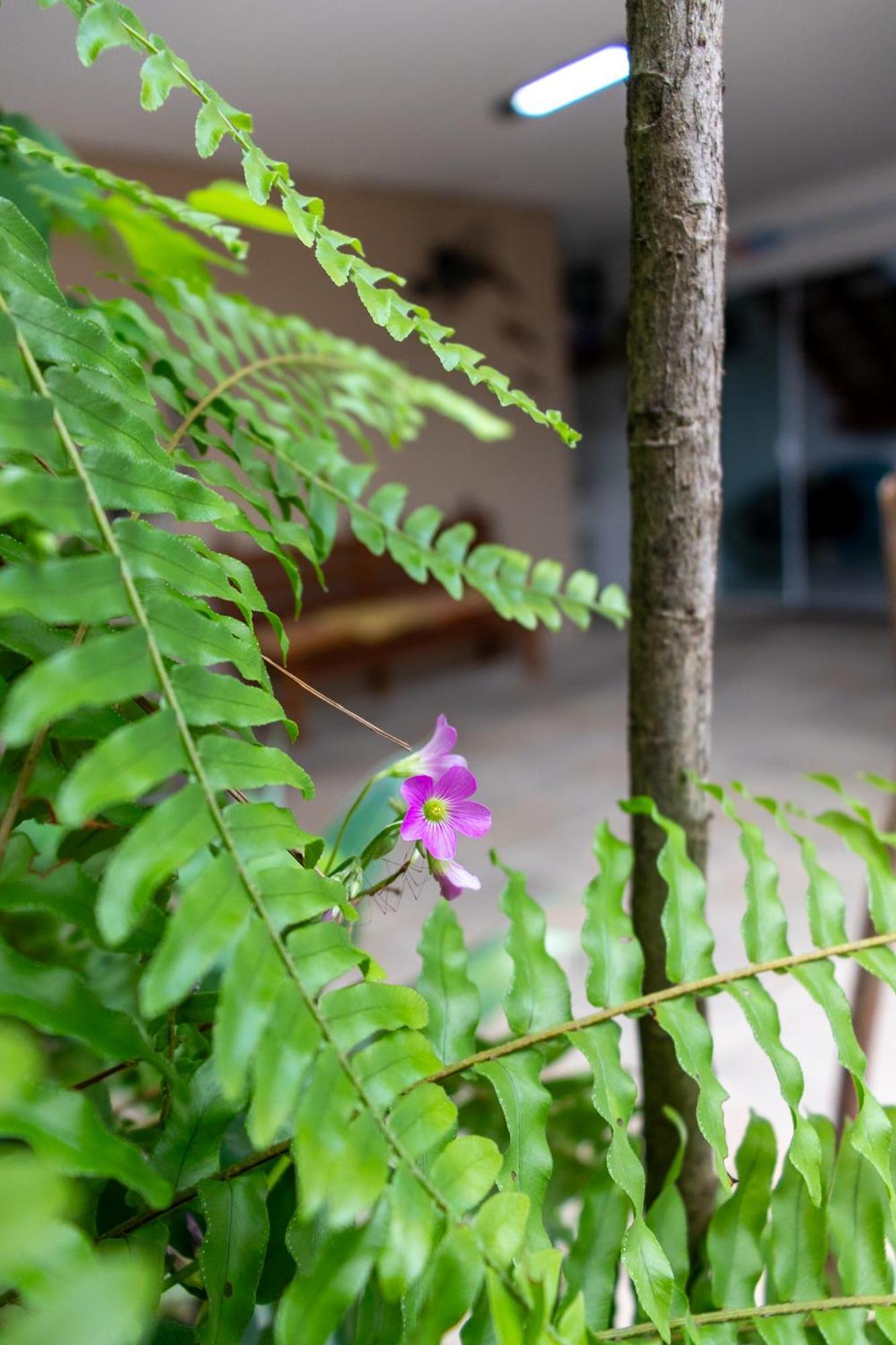 Suites Margarida Ubatuba Exteriér fotografie